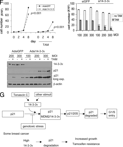 FIG. 11.