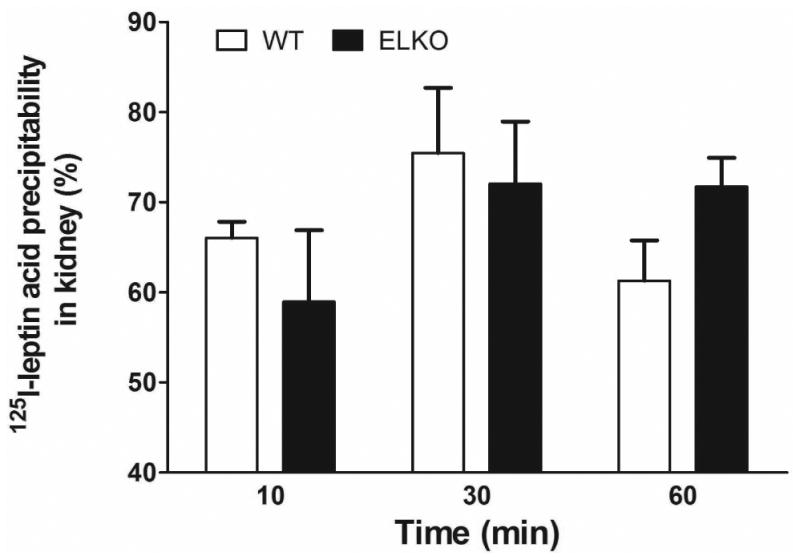 Fig.3
