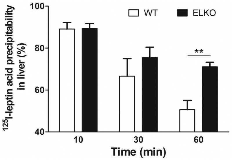 Fig.3