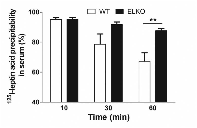 Fig.3