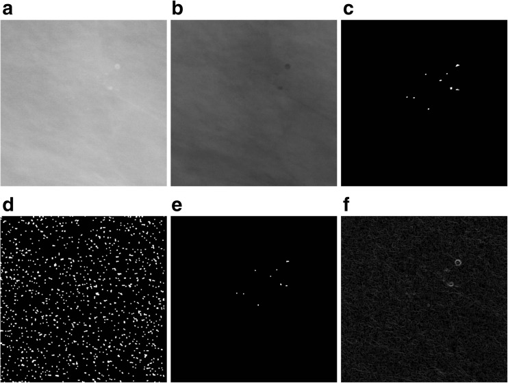 Fig. 4