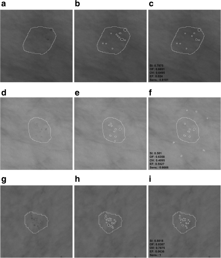 Fig. 9