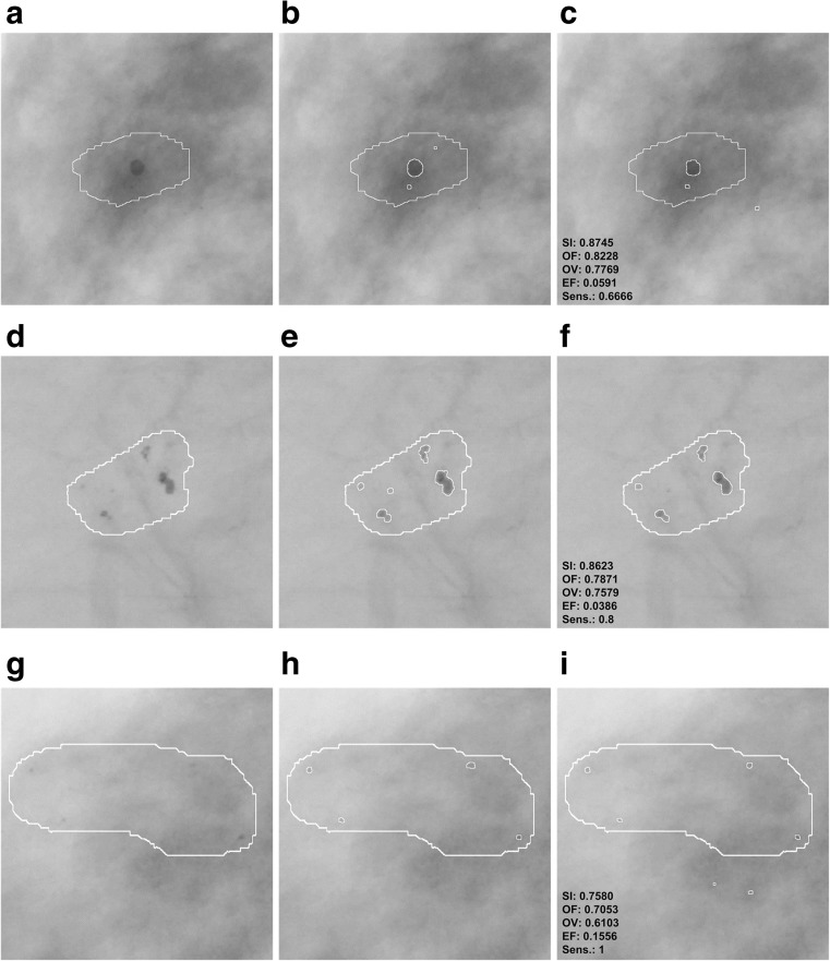 Fig. 8