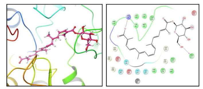 Fig. 9