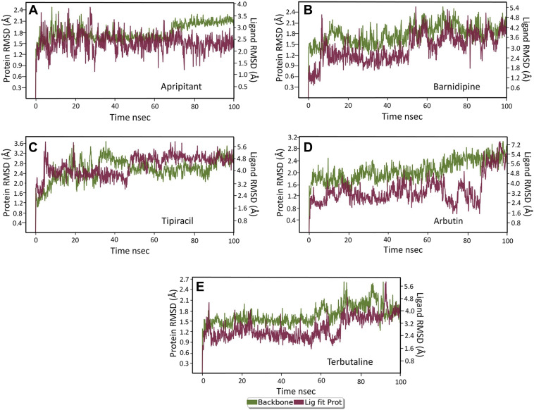 Figure 1