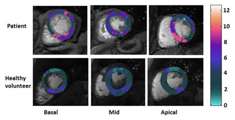 Fig. 9