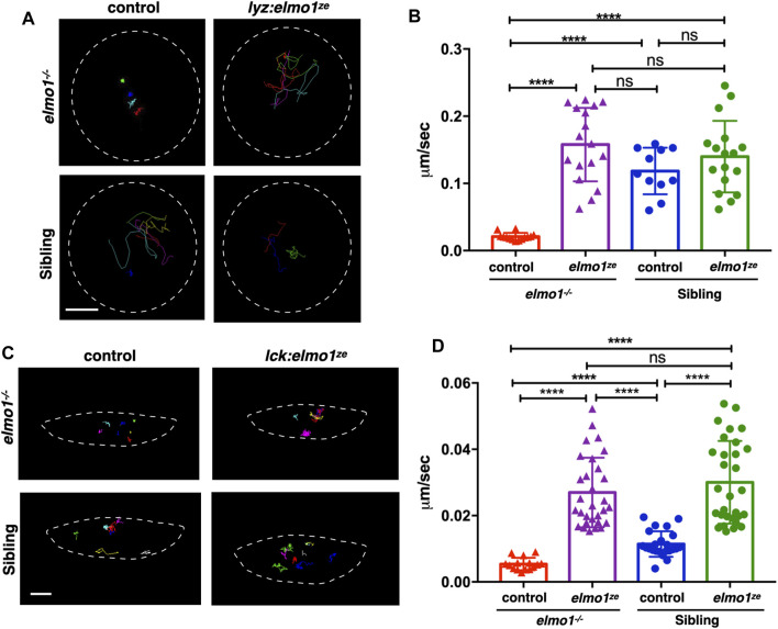 FIGURE 4