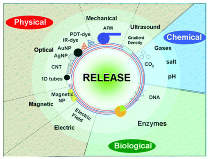 Figure 11