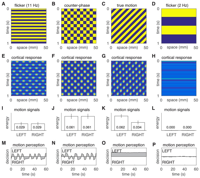 Figure 3—figure supplement 1.