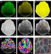 Fig. 4: