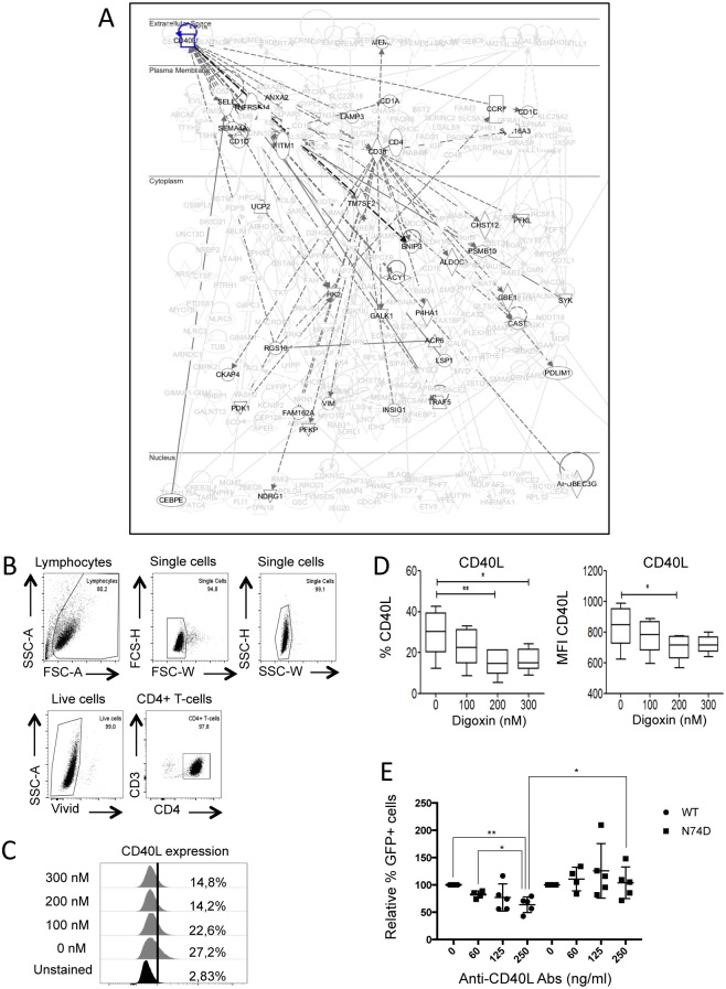 Fig 8