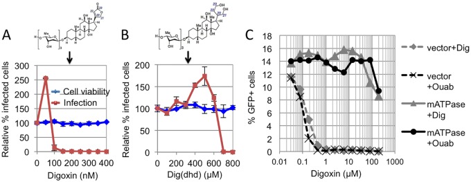 Fig 2