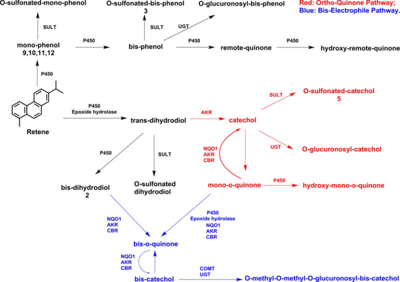 Scheme 2