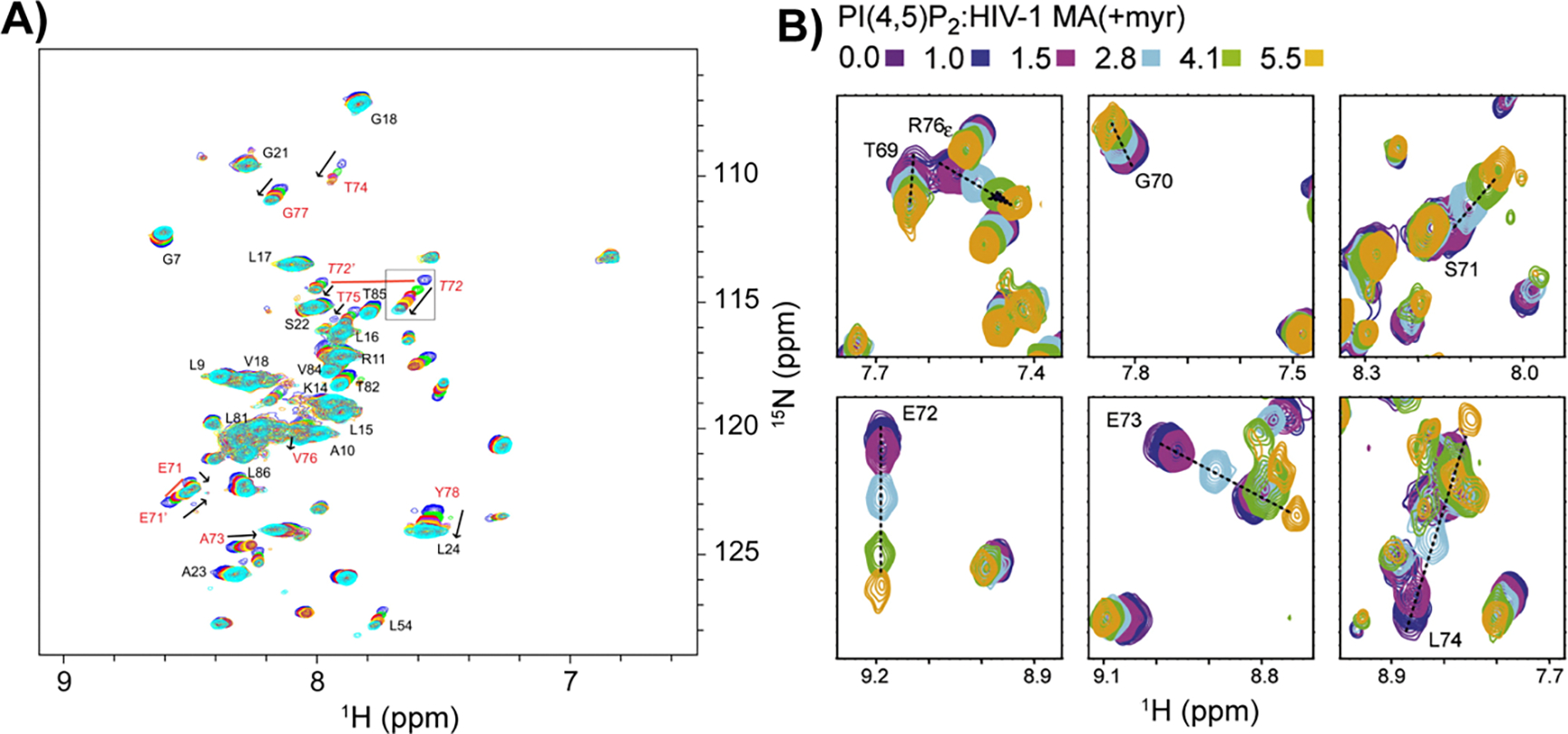 Figure 2.