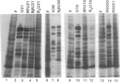 graphic file with name pnas01134-0198-a.jpg