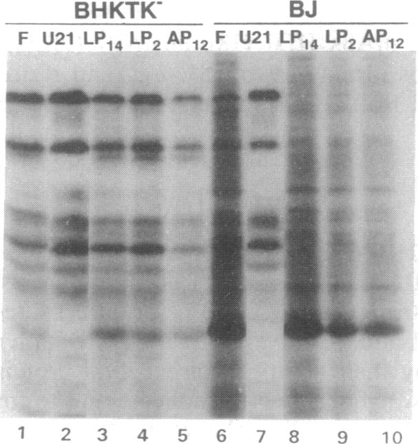 graphic file with name pnas01134-0199-a.jpg