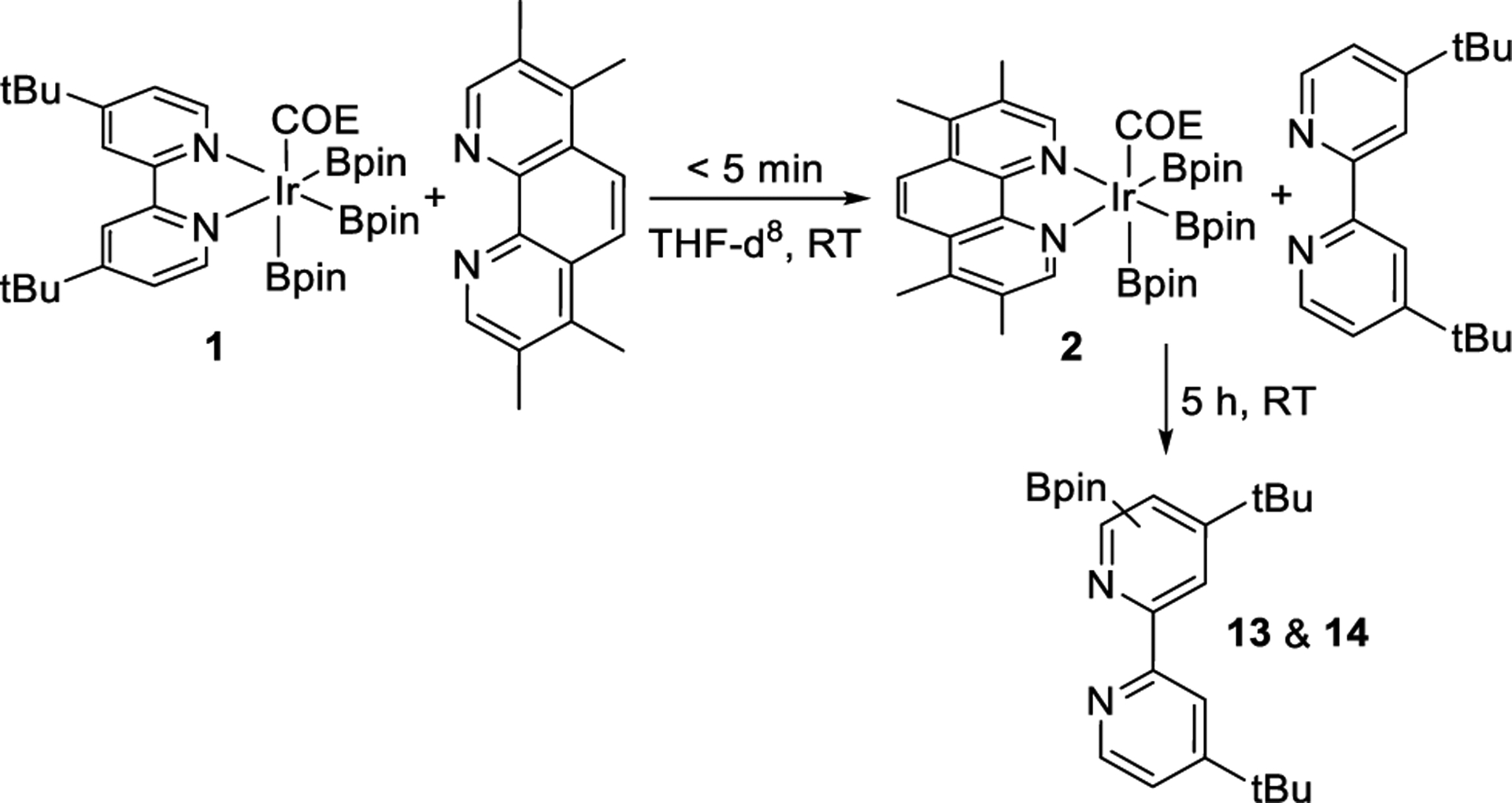 Scheme 5.