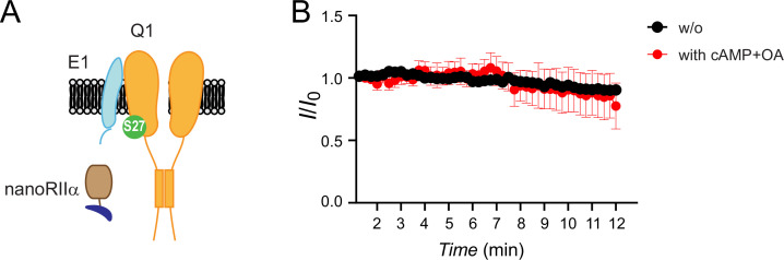 Figure 1—figure supplement 1.