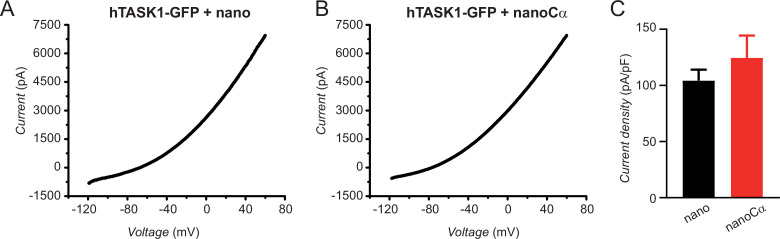 Figure 2—figure supplement 2.