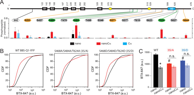 Figure 6.