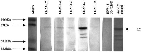 FIG. 5.