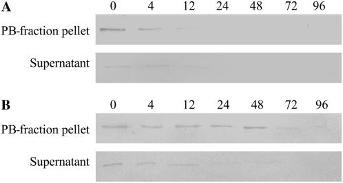 Figure 9.