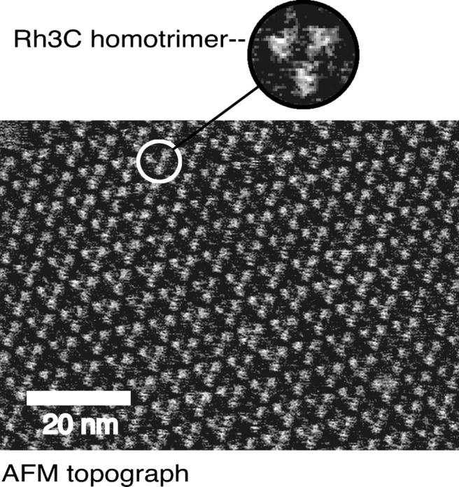 Figure 4.