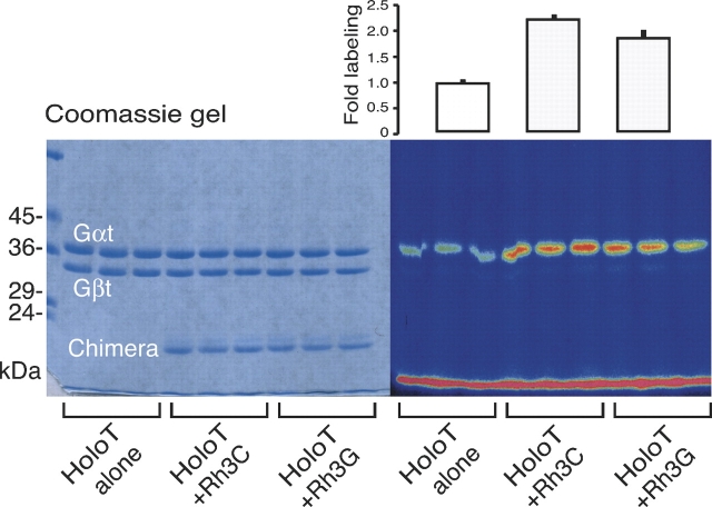 Figure 6.