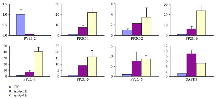 Figure 7