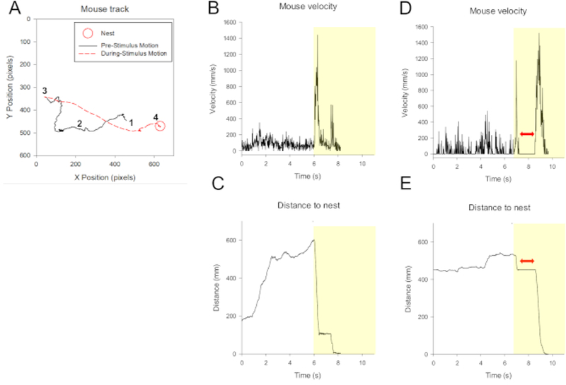 Figure 3: