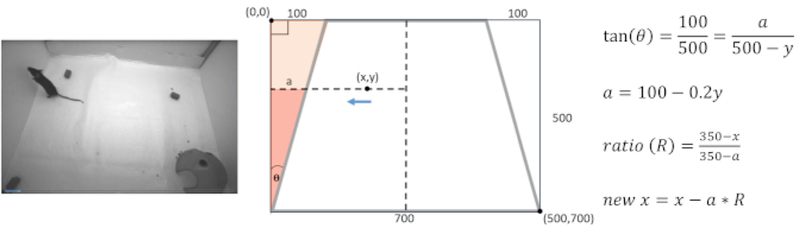 Figure 2: