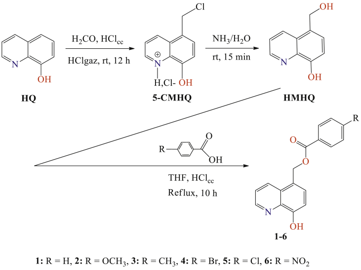 Fig. 1