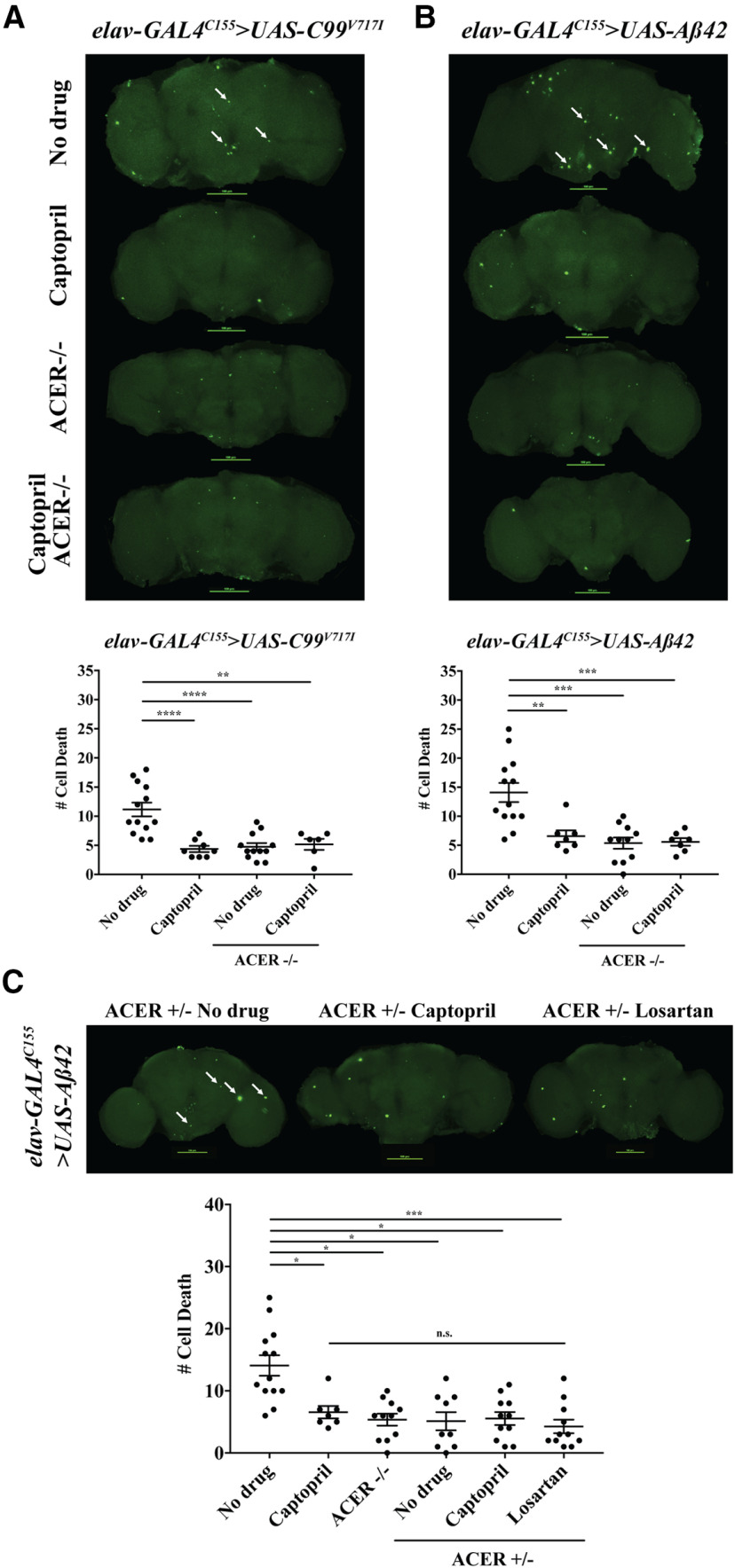 Figure 10.