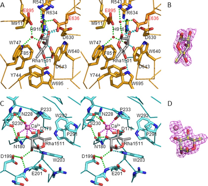 FIGURE 3.