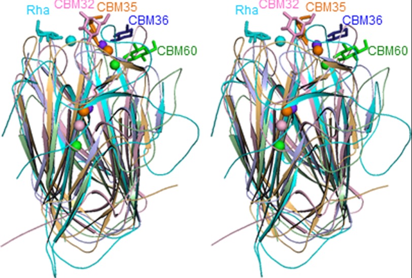 FIGURE 5.