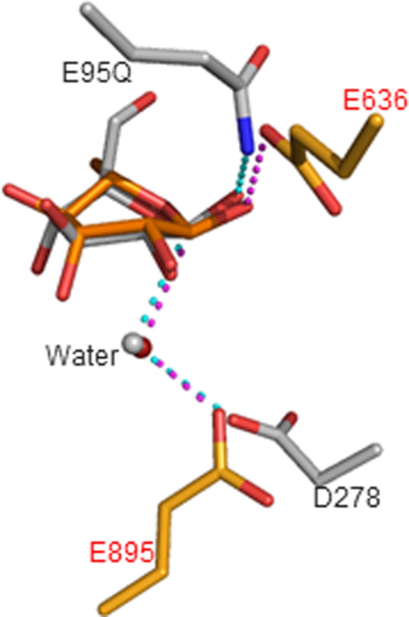 FIGURE 4.