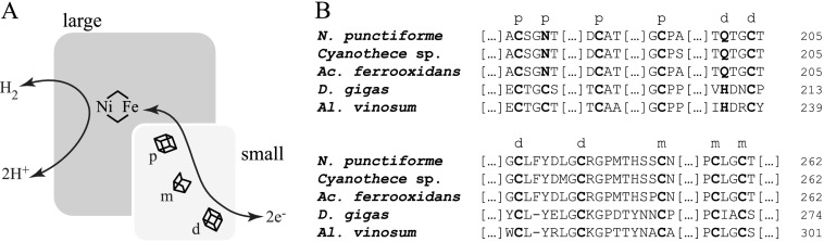 FIGURE 1.