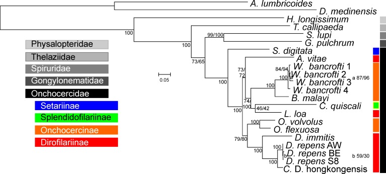 Fig 2