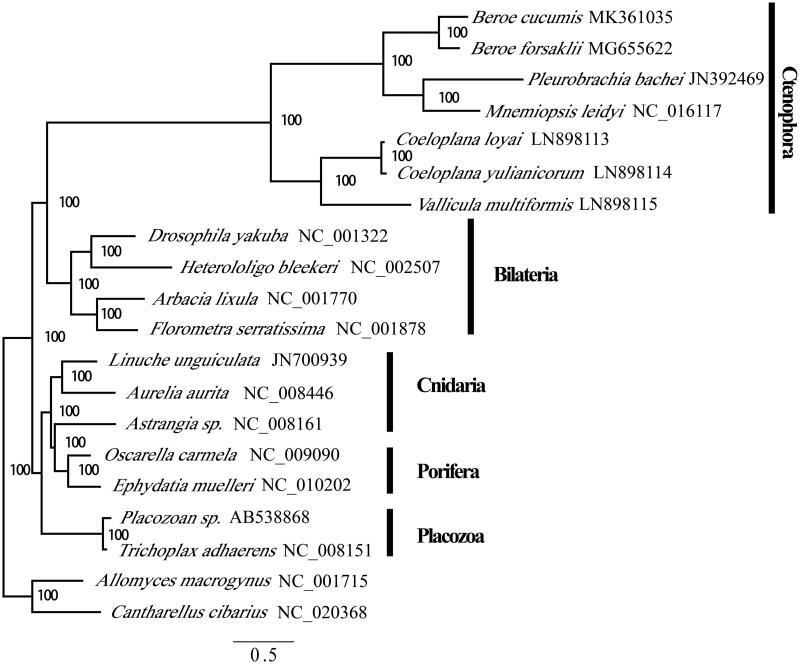 Figure 1.