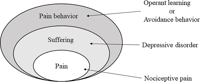 Figure 12