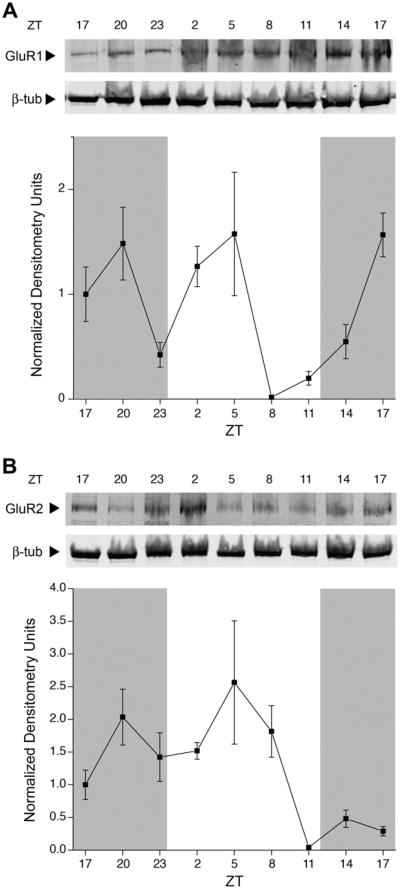 Fig. 5