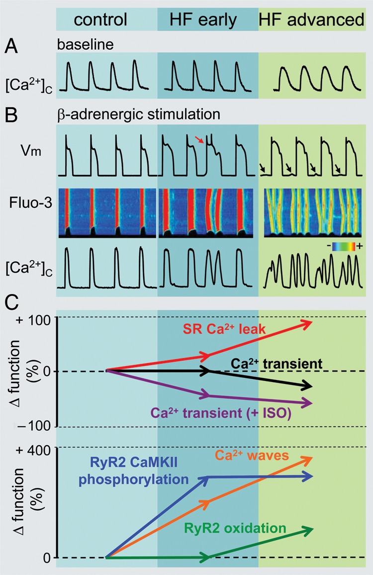 Figure 1.