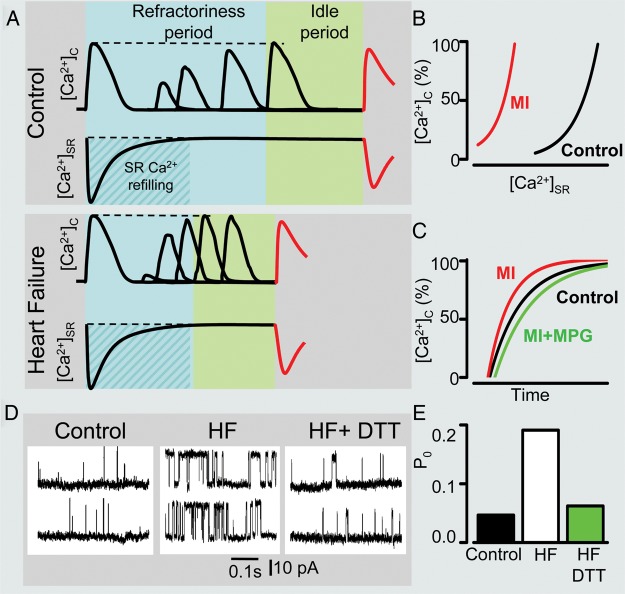 Figure 2.