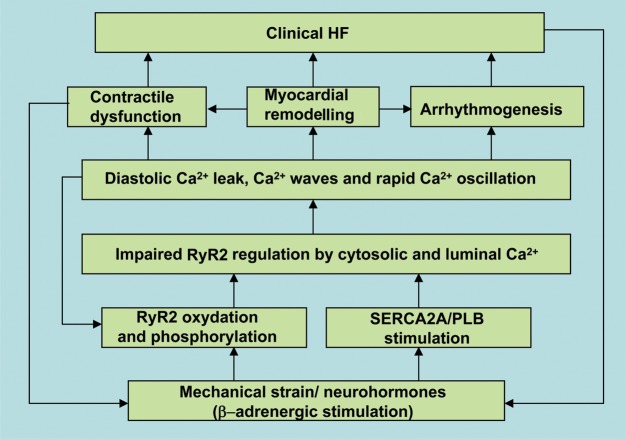 Figure 3.