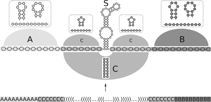 Fig. 1.