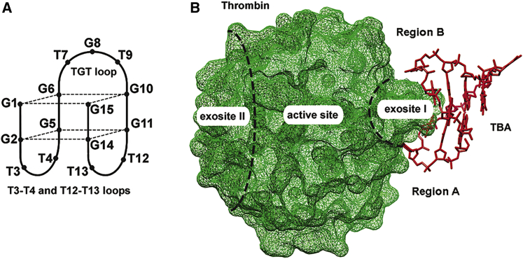 Figure 1