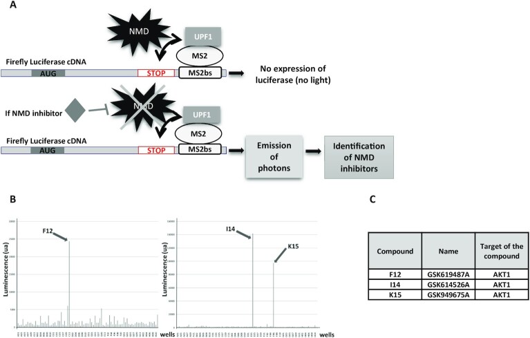 Figure 1.