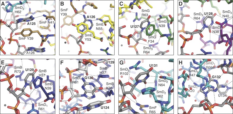 Figure 2—figure supplement 1.