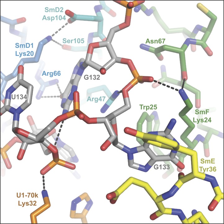 Figure 2—figure supplement 2.