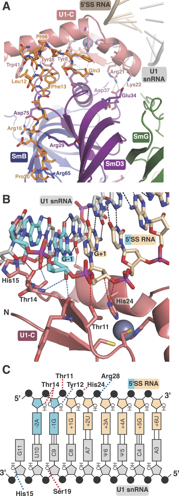 Figure 4.